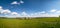 View of a wheat field in Kansas. grass on blue sky background. Green Kansas wheat