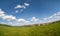 View of a wheat field in Kansas. grass on blue sky background. Green Kansas wheat
