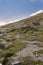 View from Whistlers Mount on summer in Jasper National Park