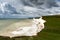 View of the white cliffs of the Seven Sisters in East Sussex on the English Channel