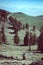 View of the White Mountains in Inyo National Forest in the Ancient Bristlecone PineForest in California eastern sierra