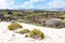 View of the white sands near beach of Caleta de Mojon Blanco, Lanzarote, Canary Islands, Spain
