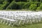 View of white wooden chairs placed in rows against the backdrop of climbing plants