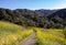 View Within Whiting Ranch Wilderness Park