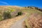 View Within Whiting Ranch Wilderness Park