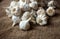 View of whole garlic bulbs. Garlic helps build immunity against cold and flu