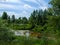 View on wild Vistula oxbow lake in Jozefow near Warsaw in Poland.