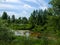 View on wild Vistula oxbow lake in Jozefow near Warsaw in Poland.