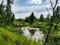 View on wild Vistula oxbow lake in Jozefow near Warsaw in Poland.