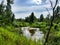 View on wild Vistula oxbow lake in Jozefow near Warsaw in Poland.