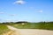 View of a winding scenic gravel road between the fields