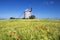 View of Windmill and wheat field