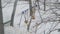 View from the window of an empty children`s swing, which swings in cold winter wind