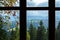 View from the window high in the mountains. Outside the window is a branch of ash, tall ancient trees and mountain ranges