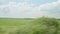 view from window of high-speed train on landscape of beautiful nature wild field and forest on evening cloudy clean