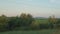 view from window of high-speed train on landscape of beautiful nature wild field and forest on evening cloudy dusk sky