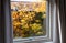 View from the window to the garden in the autumn on a rainy day. Raindrops on the window glass.