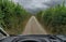 View through the windshield of a camper van driving along an extremely narrow country road with tall hedges on either side