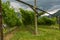 View of a wineyard