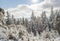 View of winter landscape with fields downhill over snowy spruce tree forest with snow covered conifers. Brdy Mountains