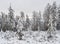 View of winter landscape with fields downhill over snowy spruce tree forest with snow covered conifers. Brdy Mountains