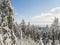 View of winter landscape with fields downhill over snowy spruce tree forest with snow covered conifers. Brdy Mountains