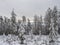 View of winter landscape with fields downhill over snowy spruce tree forest with snow covered conifers. Brdy Mountains