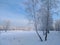 View of the winter park of the Omsk city