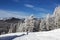 View of a winter road with trees covered with frost on a Sunny day in the Altai mountains