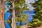 A view of Wizard Island framed between trees at Crater Lake National Park