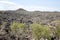View of the wonderful limestone formations Ankarana, Madagascar