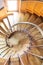 View of wood of spiral staircase