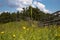 View of the wooden fence, meadow and amazing blue cloudy sky