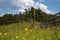 View of the wooden fence, meadow and amazing blue cloudy sky