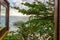 View from a wooden hut on vegetation and beach on Caribbean Sea Jamaica
