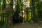 View of a wooden mountaineer lodge or house in the forest on Medvednica mountain near Zagreb in Croatia, Europe