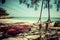 View of wooden swing in the shade of the beach