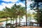 View from Wooden Terrace Through Pines on Tranquil Lake