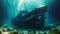 A view of the wreck of a sunken ship in the Red Sea, Titanic shipwreck lying silently on the ocean floor. The image showcases the