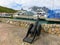 View of Yacht Haven Grande marina in St Thomas, USVI.