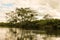 View of the Yacuma river, in the Bolivian jungle