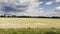 View on yellow fields and cloudy sky from the side window of fast Bullet train rides on the railway track. POV Train