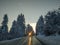 View of yellow sun, sunshine and sun rays and sunlight reflected on an empty road ahead while driving on a cold winter day next to