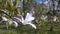 View of a young flowering magnolia branch in the park in the spring.