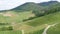 View of young vineyards and green fields of the Black Forest. Beautiful and picturesque landscape of Baden Wurttemberg