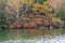 View of Yunoko lake in autumn season at Nikko national park, Nikko, Japan