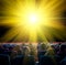 Viewers look at shining sun in cinema