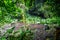 Viewing deck at the bottom of the crater of Fengluling volcano full of green vegetation at Huoshankou volcanic cluster national