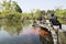 Viewing Fish at Flower Pond scenic spot