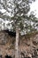 Viewing Platform: Lake Cave, Western Australia